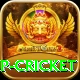 2022 world cup cricket Pro1 v2.8.4