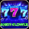 andy flower VIP Edition v1.0.6
