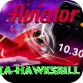 antigua hawksbill Premium Plus v3.1.8