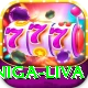 ashoka pillar niga liva VIP Pro v2.5.6