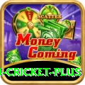 australian cricket Premium - Free Download