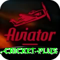 bbl cricket Ultimate PK v1.2.4