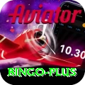 bingo Ultimate Pro v1.6.0
