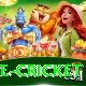 bpl live cricket VIP v1.3.3