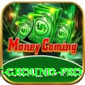 cricket ground - Casino Max