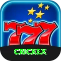 crickex Gold vv1.1.3