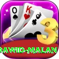 dawid malan VIP Pro v4.8.6
