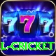 defending total cricket Games (Casino & Earning) Ultimate v4.9.0