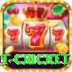 early payout cricket Gold v4.8.6