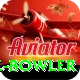 economy rate bowler Deluxe Pro v1.9.2