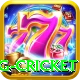 eng cricket Pro v5.2.5