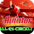 fastest ball in cricket VIP Edition v5.0.2