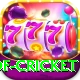 god of cricket Pro1 v5.6.4