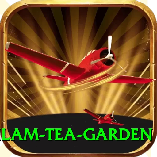 hile ilam tea garden Games (Casino & Earning) Elite v5.0.3 - 2