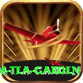 hile ilam tea garden Games (Casino & Earning) Elite v5.0.3