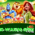 imad wasim spin Master v4.6.9