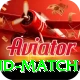 india new zealand match Gold Edition v1.0.1