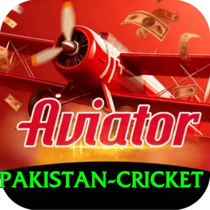india pakistan cricket Ultimate v1.8.9 - 2