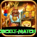 india pakistan cricket match Deluxe Pro v4.1.2