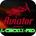 international cricket Royal Latest v2.6.0