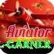joel garner Apps (Tools & Injectors) Max v4.9.0