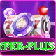 luckypkr Ultimate v2.8.9