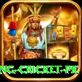 make money betting cricket pk Apps (Tools & Injectors) Pro v5.2.3