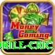 mobile cric Deluxe Edition v1.6.6