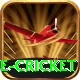 mobile cricket Deluxe Edition v1.2.7