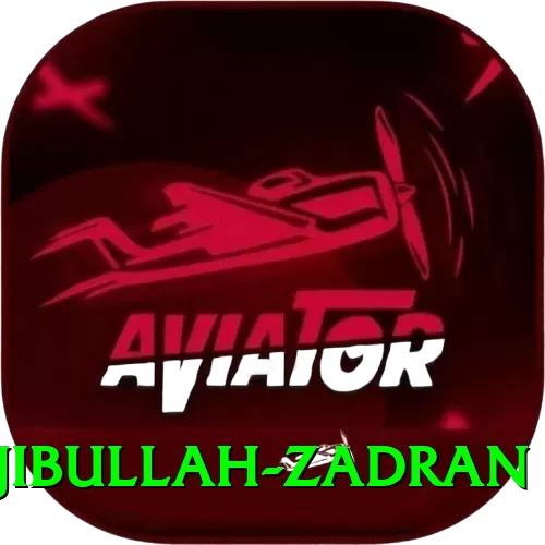 najibullah zadran Max v2.3.1 - 2
