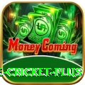 online cricket Slots Prime v2.8.4