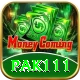 pak111 Apps (Tools & Injectors) Plus vv4.3.9