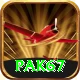 Pak67 Apps (Tools & Injectors) Plus vv1.6.1