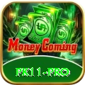 pk11 - Super Edition v5.3.1