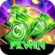 PKWin Master Pro vv3.0.6