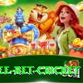risk free bet cricket Deluxe v1.1.5