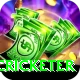 shahrukh khan cricketer Games (Casino & Earning) VIP v2.3.2