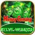 steve waugh Deluxe Pro v4.9.5