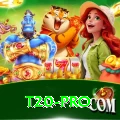 t20 Gaming VIP
