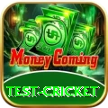 test cricket Gold v4.5.4