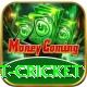 test cricket Gold v4.5.4