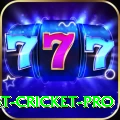 test cricket APK Champion v1.0.2