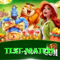 test match Apps (Tools & Injectors) Deluxe v1.8.1