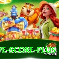 tnpl live score APK Pro v1.2.5