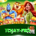 tojay Turbo Pro v3.0.2