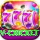 v cricket