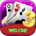 wc t20 Max v3.3.6