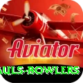 wicket hauls bowlers Premium Edition v2.2.0