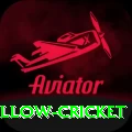 willow cricket Plus Pro v3.2.7