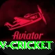 willow cricket Plus Pro v3.2.7